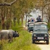 Kaziranga