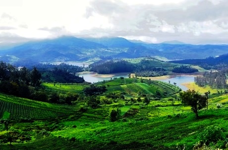 Ooty