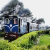 Darjeeling